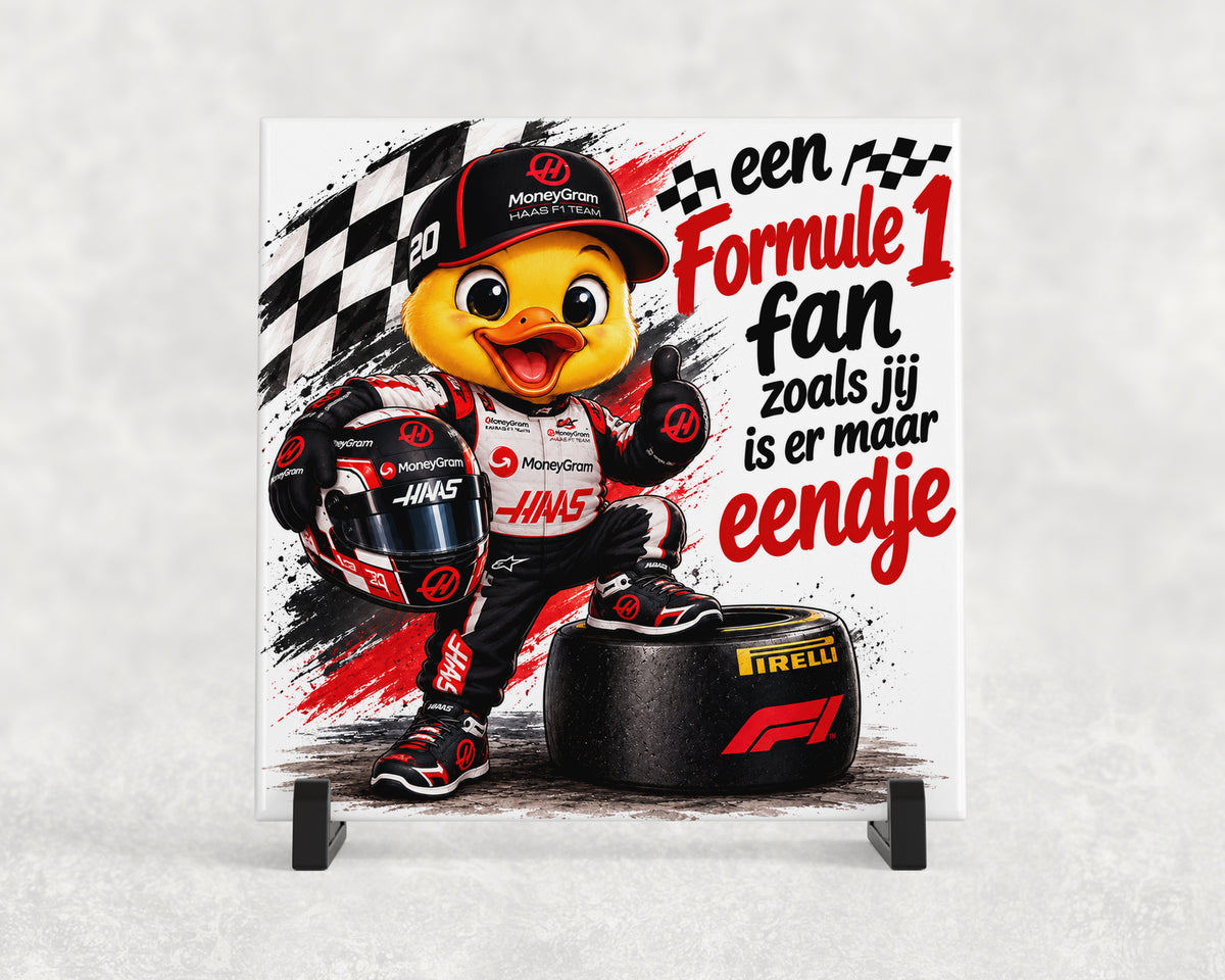 Tegeltje | Formule 1 fan – Haas