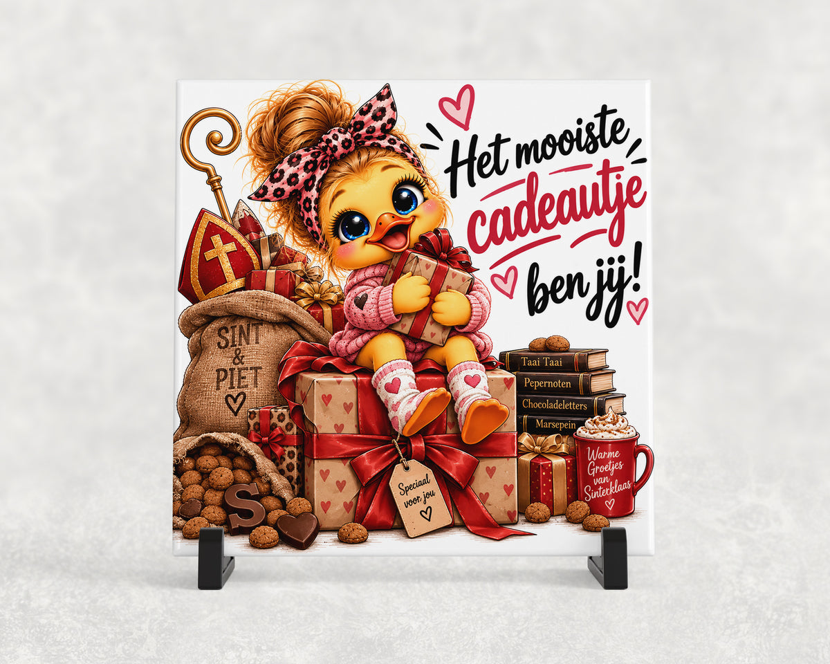 Tegeltje | Het mooiste cadeautje ben jij!