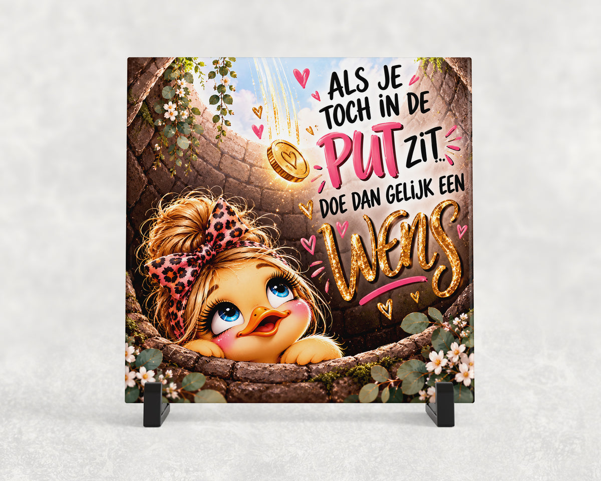 Tegeltje | Als je toch in de put zit, doe dan gelijk een wens