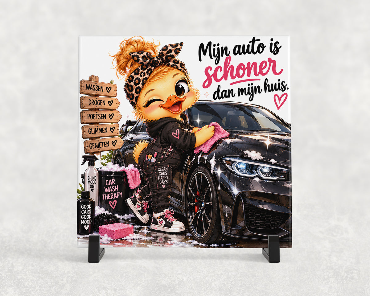 Tegeltje | Mijn auto is schoner dan mijn huis